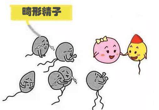 精子窝资讯网，探索生命奥秘之旅的启程点