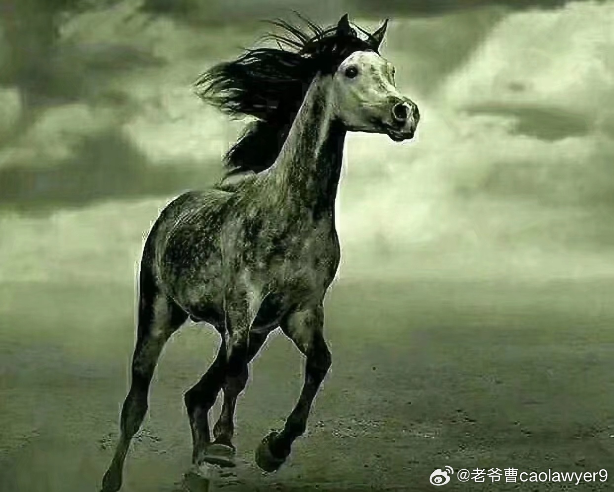 脱缰寂寞新篇章