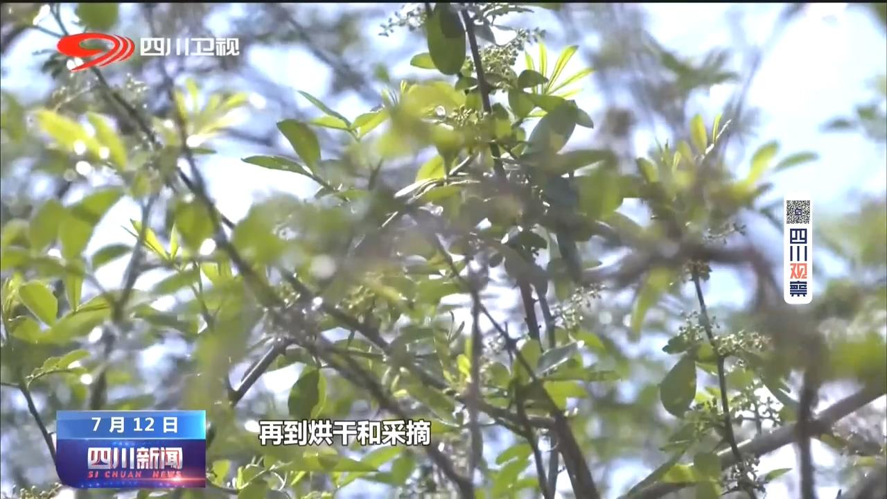 体育运动项目经营 第96页