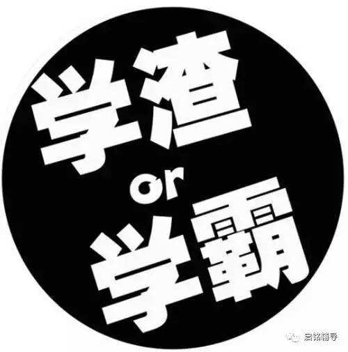 学渣的日常，一段温馨有趣的成长故事